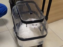 -宠福鑫康馨动物医院·骨科·眼科
