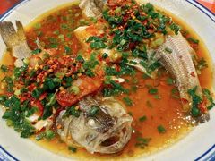 三椒蒸鲈鱼-荆九爷爆炒桥头三嫩(浙大店)