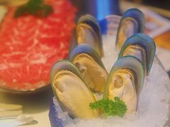 澳洲优质蓝青口-一哥澳门豆捞·澳门风打边炉(高德置地店)