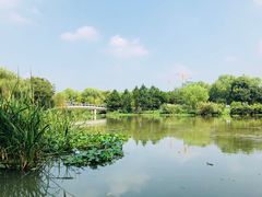 -九里河湿地公园