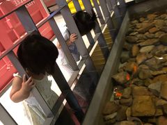 -丰茂烤串(公园店)