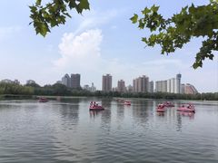 -莲花池公园
