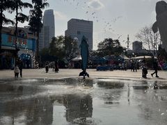 -海合安成都极地海洋公园
