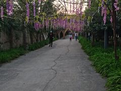 -呀路古热带植物园