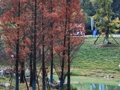 -云漫湖生态度假公园