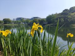 -尚贤河湿地