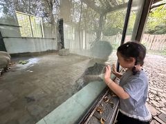 -合肥野生动物园