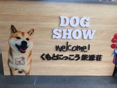 -柴源莊·柴小宠柴犬咖啡