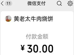 -老西关黄老太牛肉烧饼