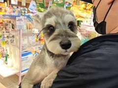 -FAELING PETS美天灵宠物(富力广场店)