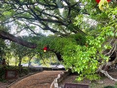 -梅州天地人花园酒店(梅县人民广场店)