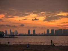 -瑶湖郊野森林公园