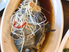 高原雪山鱼-小厨子私房菜·云南美食店