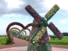 -迪茵湖田家舍生态农场