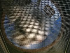-美迦爱-牙专科·兔科·骨科诊疗中心(北苑店)