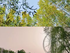 -祥源·阜阳生态乐园