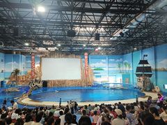 -华夏文旅海洋公园