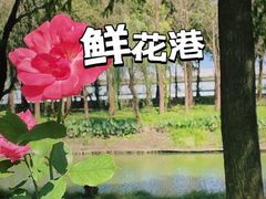 -上海鲜花港