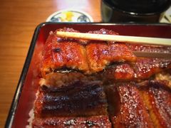 大阪鳗鱼饭-本家 柴藤