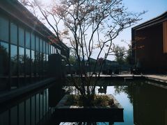 -田园东方蜜桃村的田野营地