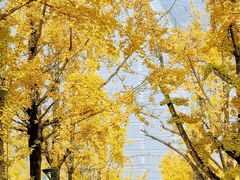 -百林公园-两江幸福广场