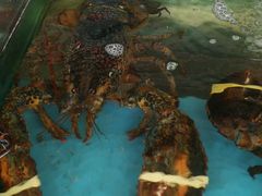 -南戴河海滨市场