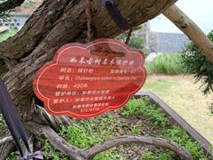 -水绘园