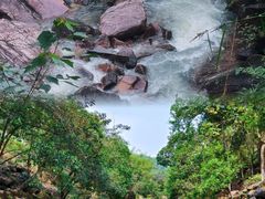 -广州白江湖森林公园