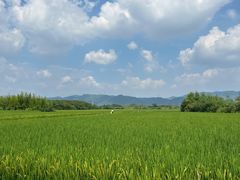 -良渚古城遗址公园