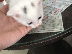-酷狗靓猫宠物·洗护·美容·寄养(航北路店)