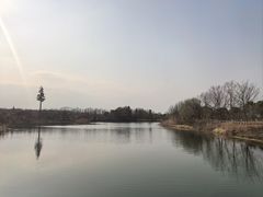 -南湖湿地公园