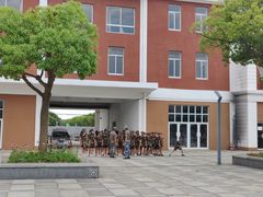 -奉贤海滩