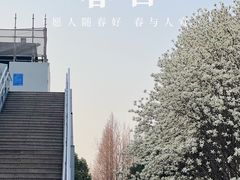 -外高桥保税区南(地铁站)