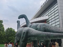 -河南自然博物馆