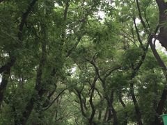 -北京国子监胡同