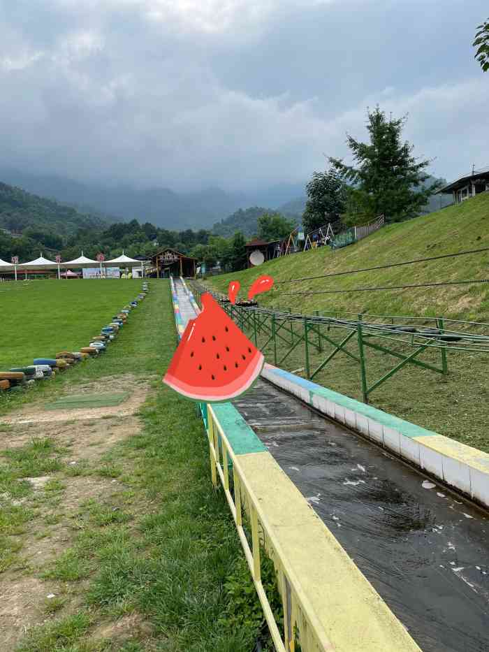 九龙滑草场-"起初以为里面有很多好玩项目,结果买了门票.