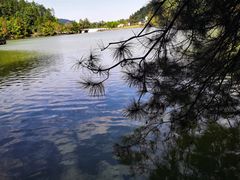 -江西阳明山国家森林公园