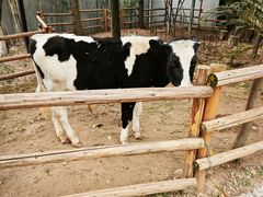 -海兰云天度假区温泉