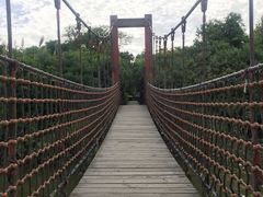 -吴淞炮台湾湿地森林公园烧烤区