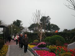 -铁山坪森林公园