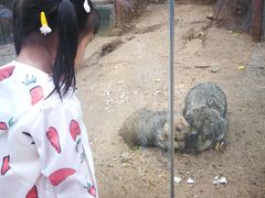 -北戴河集发农业梦想王国