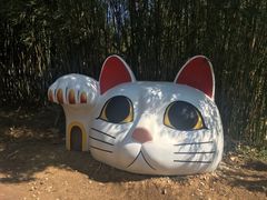 -漳州滨海火山岛自然生态风景区