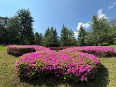 -崇圣寺三塔文化旅游区