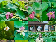 -广州莲花山旅游区