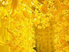 -福州奇幻解压馆(东泰禾旗舰店)