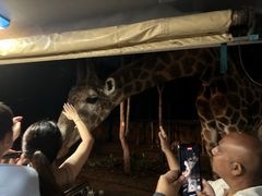 -清迈夜间动物园