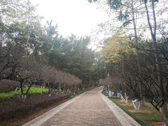 -玉树公园