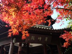 -杭州半山国家森林公园