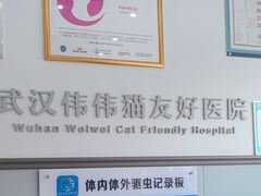 -伟伟宠物医院·瑞派猫友好医院·猫科(光谷店)