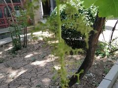 -万源龙顺度假庄园生态观光园